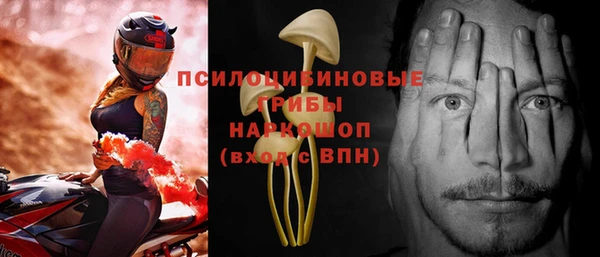 кокс Баксан