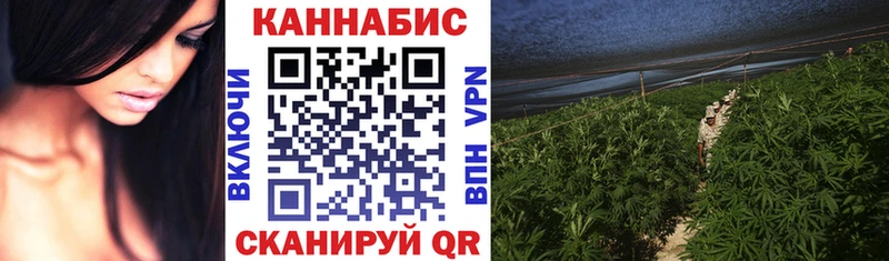 Бошки марихуана SATIVA & INDICA  KRAKEN зеркало  Биробиджан 